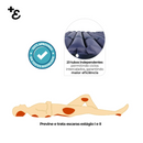 Colchão Pneumático Air Tube Dellamed Para Tratamento de Escaras até 150 Kg Avulso